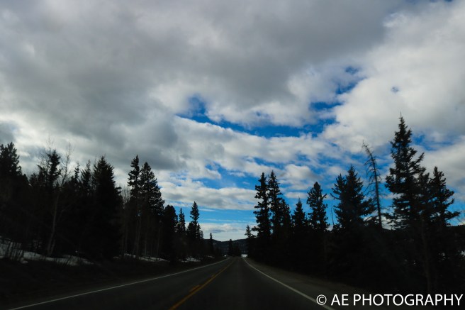 monarch 2017 (25 of 56)