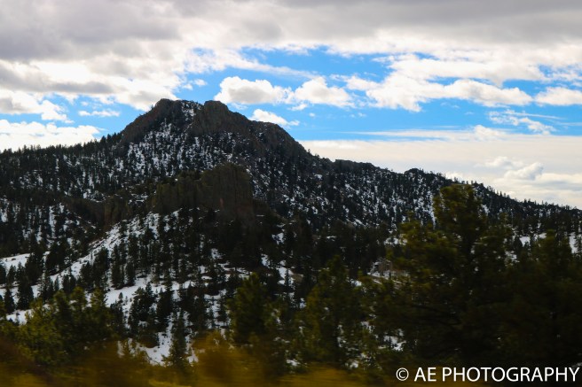 monarch 2017 (27 of 56)