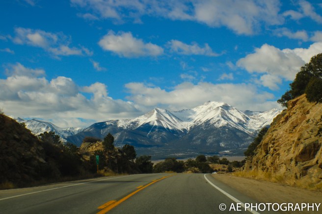 monarch 2017 (32 of 56)