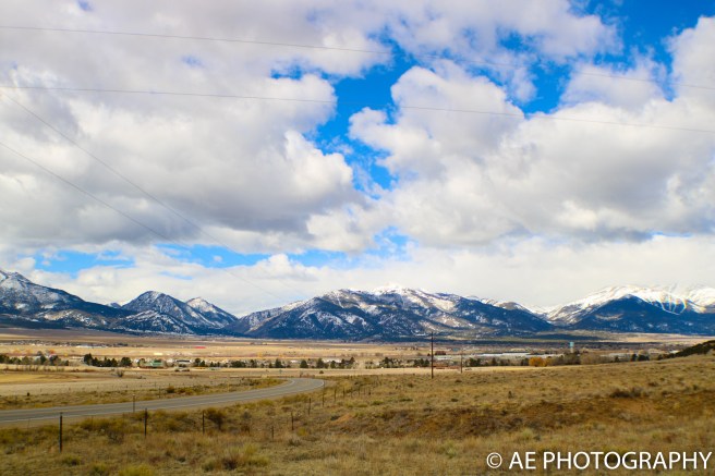 monarch 2017 (36 of 56)