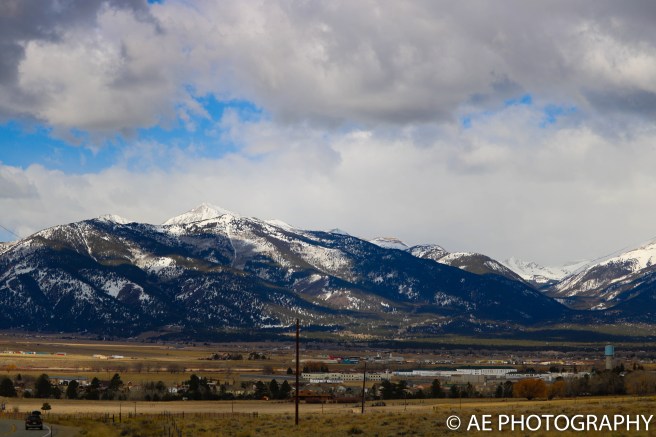 monarch 2017 (38 of 56)