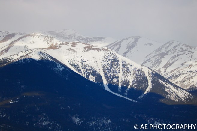 monarch 2017 (40 of 56)