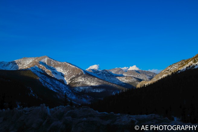 monarch 2017 (45 of 56)